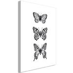 Obraz - Trzy motyle (1-częściowy) pionowy w sklepie internetowym Radimar