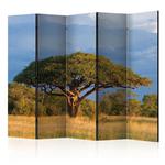 Parawan 5-częściowy - Afrykańska akacja - Park Narodowy Hwange, Zimbabwe II [Room Dividers] w sklepie internetowym Radimar