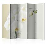 Parawan 5-częściowy - Biała orchidea II [Room Dividers] w sklepie internetowym Radimar