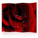 Parawan 5-częściowy - Czerwona róża i krople rosy II [Room Dividers] w sklepie internetowym Radimar