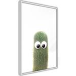 Plakat - Śmieszny kaktus IV w sklepie internetowym Radimar