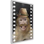 Plakat - Przebrana małpka w sklepie internetowym Radimar