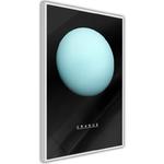 Plakat - Układ słoneczny: Uran w sklepie internetowym Radimar