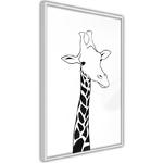 Plakat - Czarno-biała żyrafa w sklepie internetowym Radimar