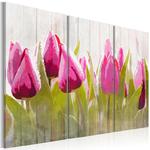 Obraz - Wiosenny bukiet tulipanów OBRAZ NA PŁÓTNIE WŁOSKIM w sklepie internetowym Radimar
