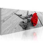 Obraz - Karminowa róża OBRAZ NA PŁÓTNIE WŁOSKIM w sklepie internetowym Radimar