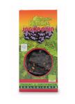 Herbatka jagodowa BIO 100g Dary Natury w sklepie internetowym Ekolandia24