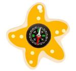 Kompas żółta rozgwiazda w sklepie internetowym fifishop