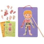 Tooky Toy Drewniane Puzzle Magnetyczne Nauka Anatomia Człowieka 78el. w sklepie internetowym fifishop