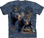 Find 13 Black Bears - T-shirt The Mountain w sklepie internetowym  VeoVeo