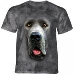 Big Face Great Dane - Dog Niemiecki w sklepie internetowym  VeoVeo