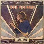 ROD STEWART - EVERY PICTURE TELLS A STORY (Vinyl LP) w sklepie internetowym eMarkt.pl