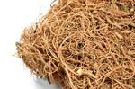 Susz Egzotyczny CURLY MOSS natural 250g w sklepie internetowym MyFlowers.pl