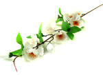Gałązka Jabłoni Kwiaty White sztuczne kwiaty jak żywe w sklepie internetowym MyFlowers.pl