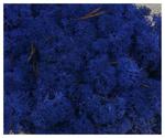 MECH Chrobotek Reniferowy 26.Azur Blue 5 kg mech na ścianę, mech norweski, niebieski w sklepie internetowym MyFlowers.pl