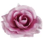 Róża satynowa główka tt.burgund/pink w sklepie internetowym MyFlowers.pl