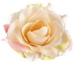 Róża satynowa główka Lt.Peach/Green w sklepie internetowym MyFlowers.pl
