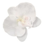 W11 Storczyk Phalaenopsis - główka White sztuczne kwiaty - storczyk w sklepie internetowym MyFlowers.pl