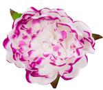 Peonia tafta główka Pink edge / White sztuczne kwiaty jak żywe w sklepie internetowym MyFlowers.pl