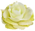 Róża satynowa główka lt.green w sklepie internetowym MyFlowers.pl
