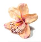 W3 Storczyk Cymbidium - główka Peach Mauve sztuczne kwiaty - główka w pąku w sklepie internetowym MyFlowers.pl