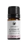 Odylique by Essential Care organiczny olejek eteryczny Rozmaryn, 5 ml w sklepie internetowym Natural-Beauty.pl