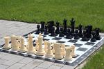 Mały zestaw do szachów plenerowych / ogrodowych (król 20 cm) - figury + szachownica winylowa w sklepie internetowym Imperiumzabawek.pl