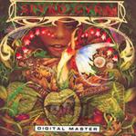 [01066] Spyro Gyra - Morning Dance - CD (P)1979/1994 w sklepie internetowym Fan.pl