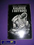 KALOSZE I OSTROGI-J.Dyjeciński w sklepie internetowym Wieszcz.pl