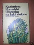 UCIECZKA NA ŁĄKI ZIELONE - K.Kowalski w sklepie internetowym Wieszcz.pl