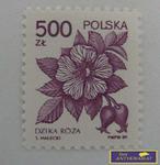 ZNACZEK - Dzika Róża 1989 r. w sklepie internetowym Wieszcz.pl