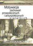 Motywacja zachowań prospołecznych i antyspołecznych nieletnich w sklepie internetowym Wieszcz.pl