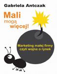 Mali mogą więcej Marketing małej firmy czyli wojna o rynek w sklepie internetowym Wieszcz.pl