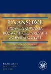 Finansowe uwarunkowania rozwoju organizacji gospodarczych. Ryzyko w rachunkowości i zarządzaniu finansami w sklepie internetowym Wieszcz.pl