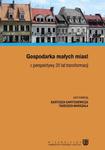 Gospodarka małych miast z perspektywy 20 lat transformacji w sklepie internetowym Wieszcz.pl