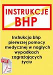 Instrukcja przy udzielaniu pierwszej pomocy w nagłych przypadkach zagrażających życiu w sklepie internetowym Wieszcz.pl