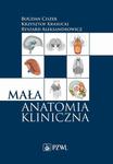 Mała anatomia kliniczna w sklepie internetowym Wieszcz.pl