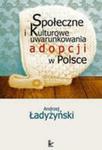 Społeczne i kulturowe uwarunkowania adopcji w Polsce w sklepie internetowym Wieszcz.pl