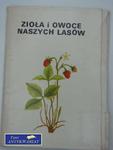 ZIOŁA I OWOCE NASZYCH LASÓW w sklepie internetowym Wieszcz.pl