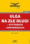 Ulga na złe długi – w pytaniach i odpowiedziach w sklepie internetowym Wieszcz.pl