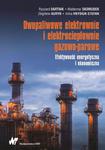 Dwupaliwowe elektrownie i elektrociepłownie gazowo-parowe Efektywność energetyczna i ekonomiczna w sklepie internetowym Wieszcz.pl