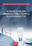 Wybrane problemy zrównoważonego rozwoju elektroenergetyki w sklepie internetowym Wieszcz.pl