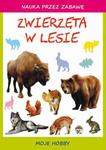 Zwierzęta w lesie Moje hobby w sklepie internetowym Wieszcz.pl