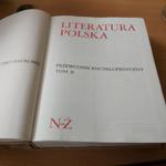 Literatura Polska przewodnik Encyklopedyczny TOM 2 N-Ż w sklepie internetowym Wieszcz.pl