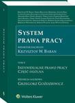 System prawa pracy. TOM II. Indywidualne prawo pracy. Część ogólna w sklepie internetowym Wieszcz.pl