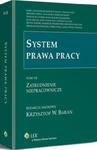 System prawa pracy. TOM VII. Zatrudnienie niepracownicze w sklepie internetowym Wieszcz.pl