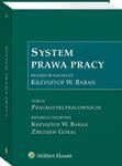 System prawa pracy. TOM XI. Pragmatyki pracownicze w sklepie internetowym Wieszcz.pl