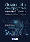 Gospodarka energetyczna w warunkach rynkowych Modelowanie - Ekonomika - Zarządzanie w sklepie internetowym Wieszcz.pl