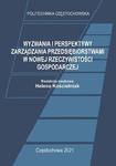 Wyzwania i perspektywy zarządzania przedsiębiorstwami w nowej rzeczywistości gospodarczej w sklepie internetowym Wieszcz.pl