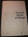 Słownik języka polskiego 1 A-K w sklepie internetowym Wieszcz.pl